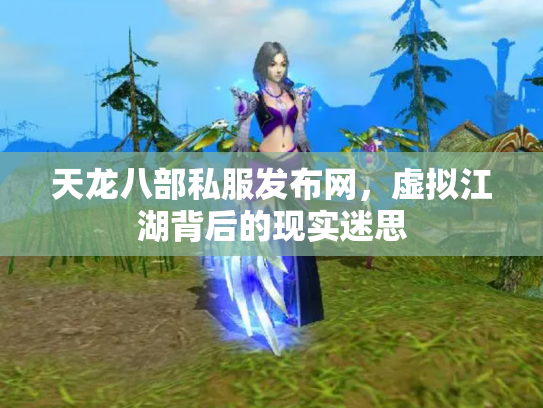 天龙八部私服发布网，虚拟江湖背后的现实迷思
