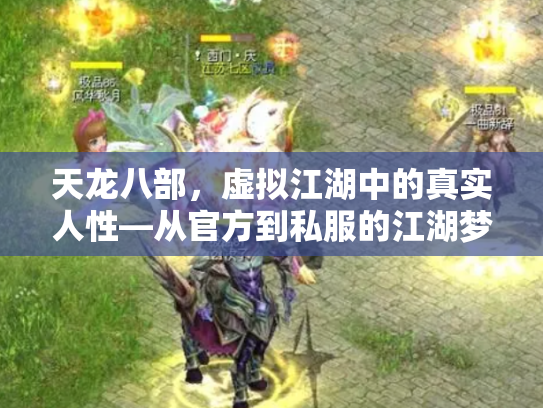 天龙八部，虚拟江湖中的真实人性—从官方到私服的江湖梦
