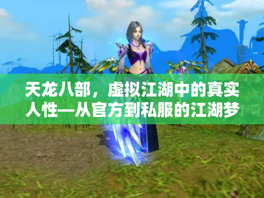 天龙八部，虚拟江湖中的真实人性—从官方到私服的江湖梦