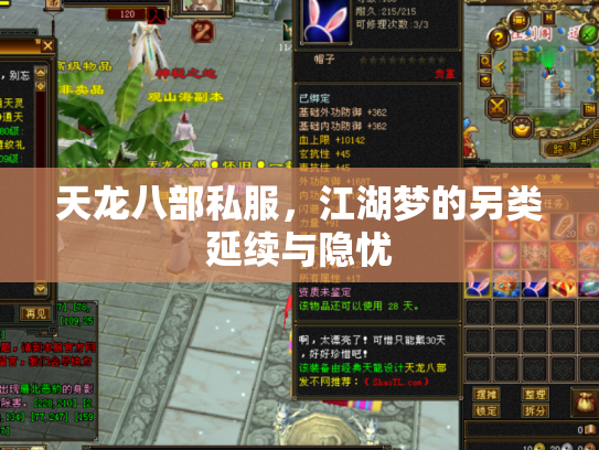 天龙八部私服，江湖梦的另类延续与隐忧