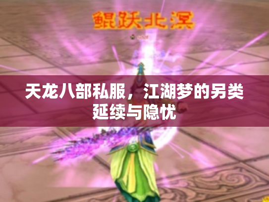 天龙八部私服，江湖梦的另类延续与隐忧