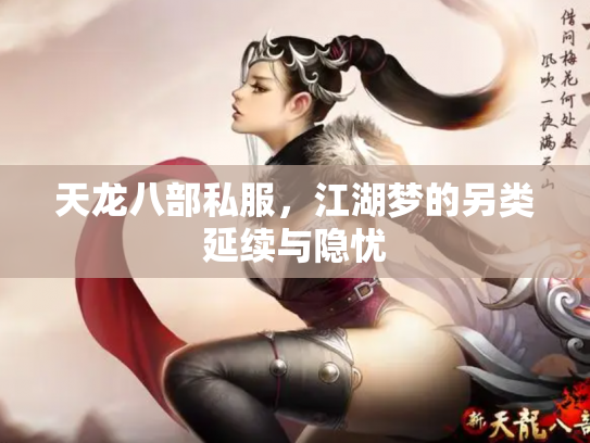 天龙八部私服，江湖梦的另类延续与隐忧
