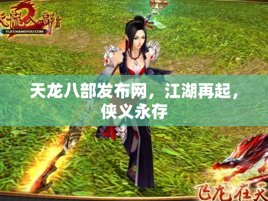 天龙八部发布网，江湖再起，侠义永存