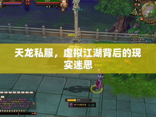 天龙私服，虚拟江湖背后的现实迷思
