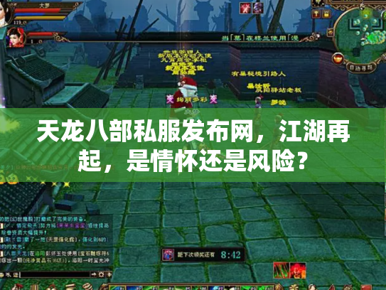 天龙八部私服发布网，江湖再起，是情怀还是风险？