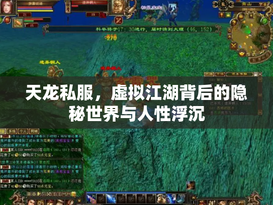 天龙私服，虚拟江湖背后的隐秘世界与人性浮沉