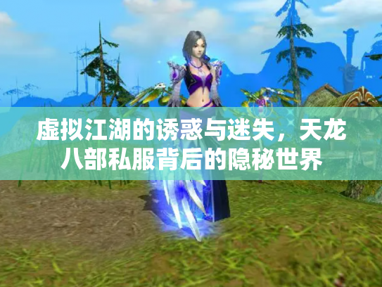 虚拟江湖的诱惑与迷失，天龙八部私服背后的隐秘世界