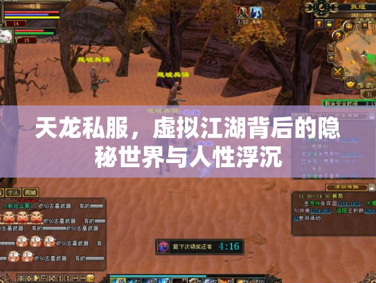 天龙私服，虚拟江湖背后的隐秘世界与人性浮沉