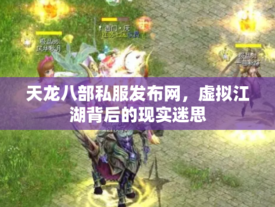 天龙八部私服发布网，虚拟江湖背后的现实迷思