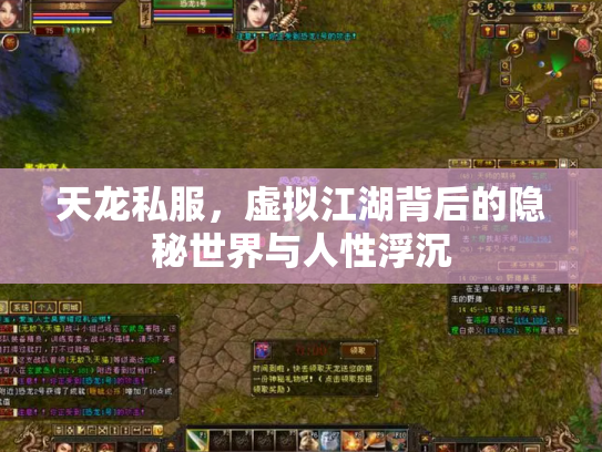 天龙私服，虚拟江湖背后的隐秘世界与人性浮沉
