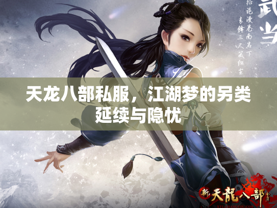 天龙八部私服，江湖梦的另类延续与隐忧
