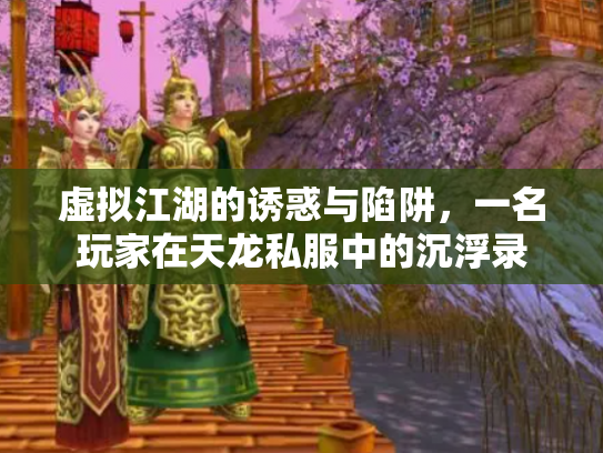 虚拟江湖的诱惑与陷阱，一名玩家在天龙私服中的沉浮录