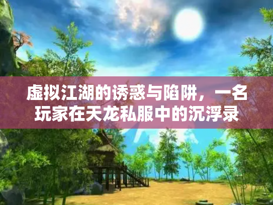 虚拟江湖的诱惑与陷阱，一名玩家在天龙私服中的沉浮录