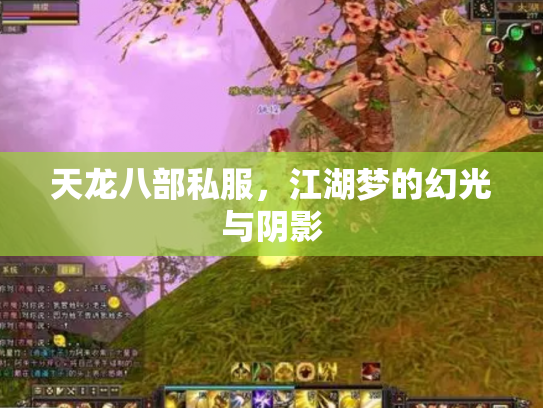 天龙八部私服，江湖梦的幻光与阴影