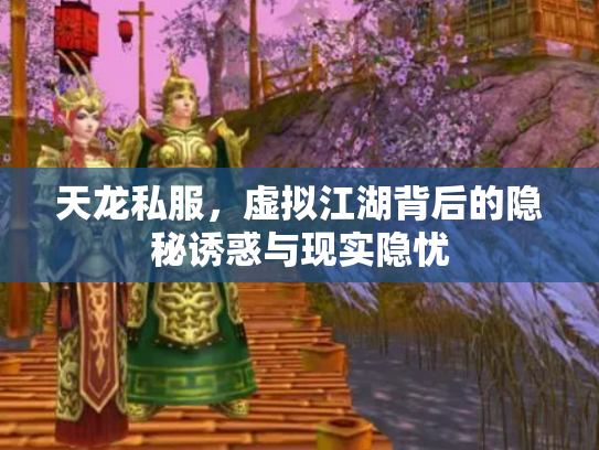 天龙私服，虚拟江湖背后的隐秘诱惑与现实隐忧