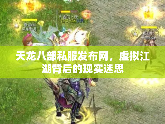 天龙八部私服发布网，虚拟江湖背后的现实迷思