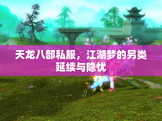 天龙八部私服，江湖梦的另类延续与隐忧