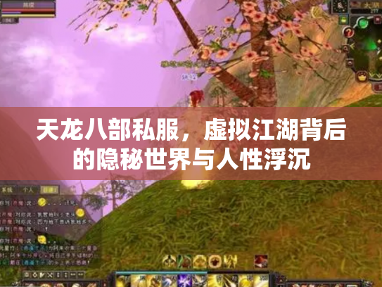 天龙八部私服，虚拟江湖背后的隐秘世界与人性浮沉