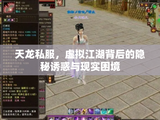 天龙私服，虚拟江湖背后的隐秘诱惑与现实困境