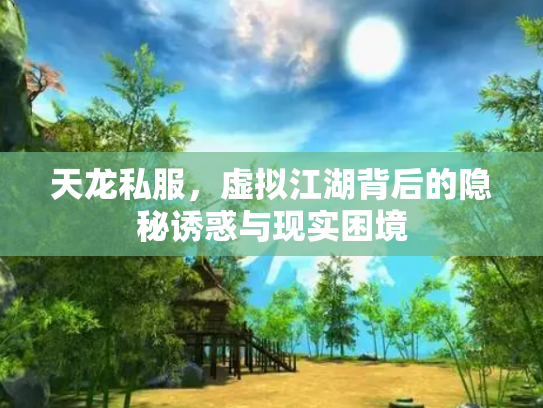 天龙私服，虚拟江湖背后的隐秘诱惑与现实困境