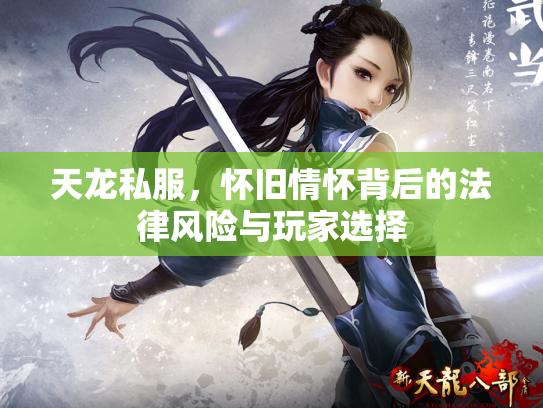 天龙私服，怀旧情怀背后的法律风险与玩家选择