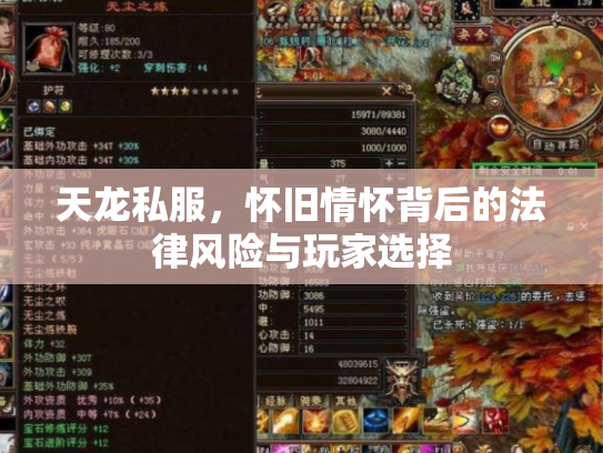 天龙私服，怀旧情怀背后的法律风险与玩家选择