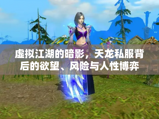 虚拟江湖的暗影，天龙私服背后的欲望、风险与人性博弈