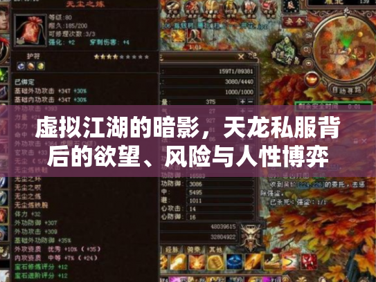 虚拟江湖的暗影，天龙私服背后的欲望、风险与人性博弈