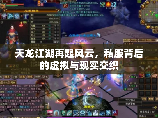 天龙江湖再起风云，私服背后的虚拟与现实交织