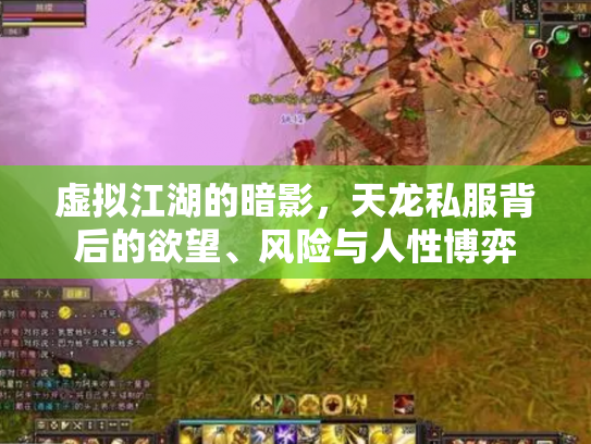 虚拟江湖的暗影，天龙私服背后的欲望、风险与人性博弈