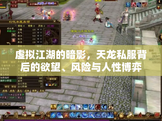 虚拟江湖的暗影，天龙私服背后的欲望、风险与人性博弈