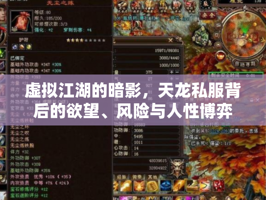 虚拟江湖的暗影，天龙私服背后的欲望、风险与人性博弈