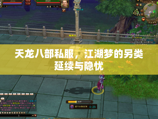 天龙八部私服，江湖梦的另类延续与隐忧