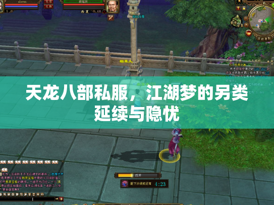 天龙八部私服，江湖梦的另类延续与隐忧
