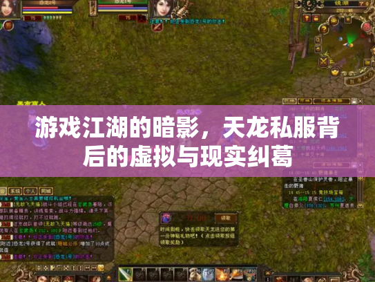 游戏江湖的暗影，天龙私服背后的虚拟与现实纠葛