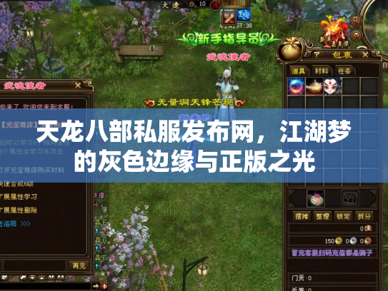 天龙八部私服发布网，江湖梦的灰色边缘与正版之光