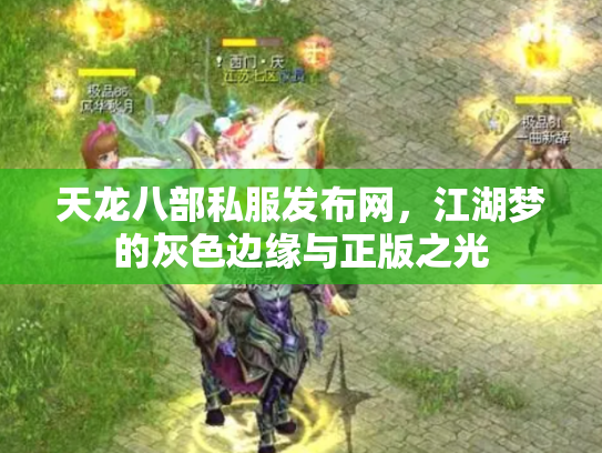 天龙八部私服发布网，江湖梦的灰色边缘与正版之光