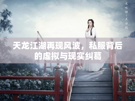 天龙江湖再现风波，私服背后的虚拟与现实纠葛