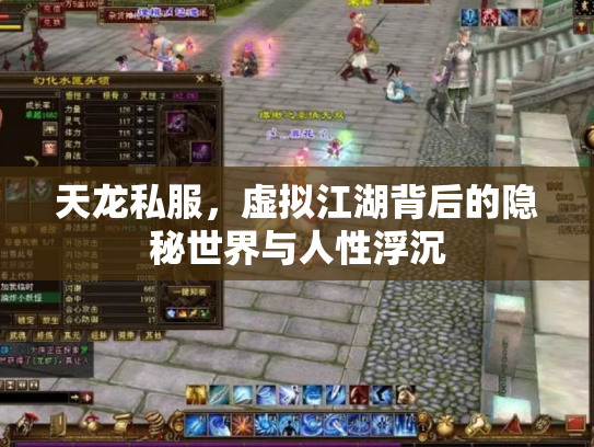 天龙私服，虚拟江湖背后的隐秘世界与人性浮沉