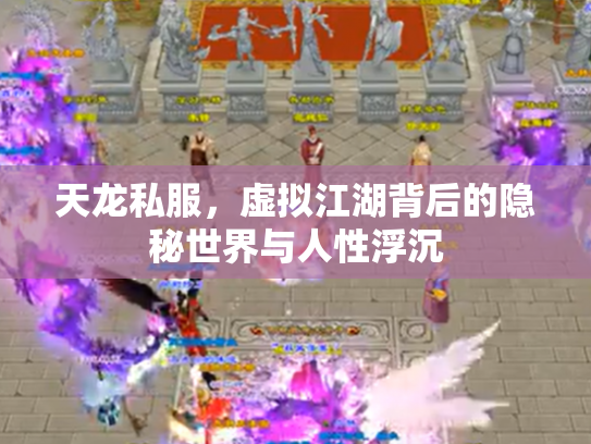 天龙私服，虚拟江湖背后的隐秘世界与人性浮沉