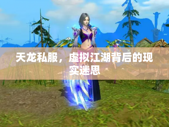 天龙私服，虚拟江湖背后的现实迷思