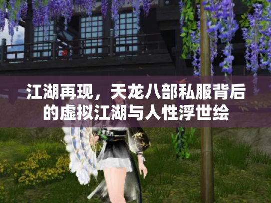 江湖再现，天龙八部私服背后的虚拟江湖与人性浮世绘