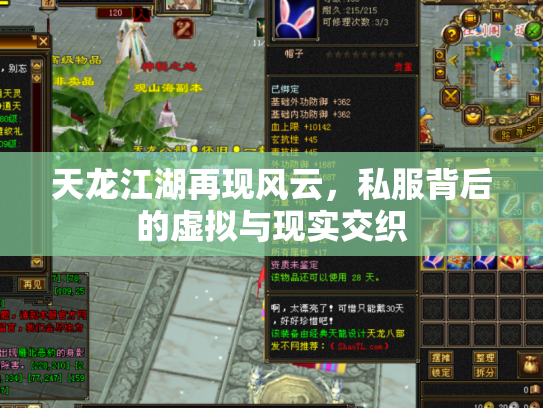 天龙江湖再现风云，私服背后的虚拟与现实交织