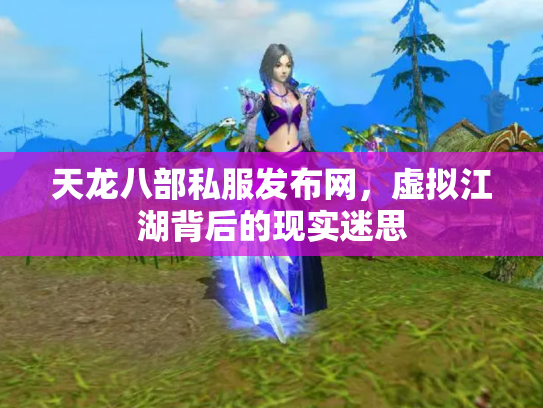 天龙八部私服发布网，虚拟江湖背后的现实迷思