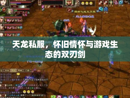 天龙私服，怀旧情怀与游戏生态的双刃剑