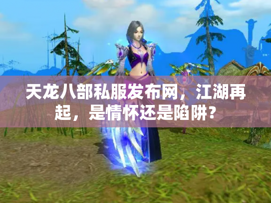 天龙八部私服发布网，江湖再起，是情怀还是陷阱？