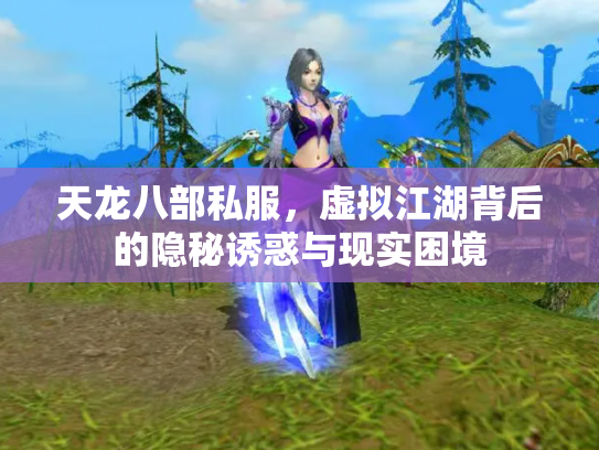 天龙八部私服，虚拟江湖背后的隐秘诱惑与现实困境