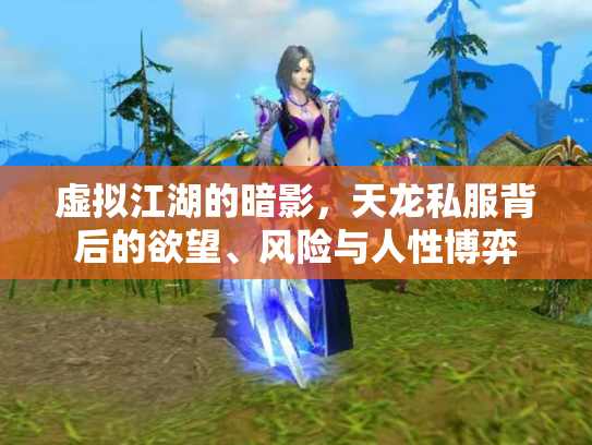 虚拟江湖的暗影，天龙私服背后的欲望、风险与人性博弈