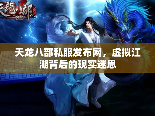 天龙八部私服发布网，虚拟江湖背后的现实迷思