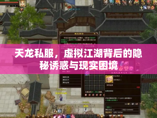 天龙私服，虚拟江湖背后的隐秘诱惑与现实困境